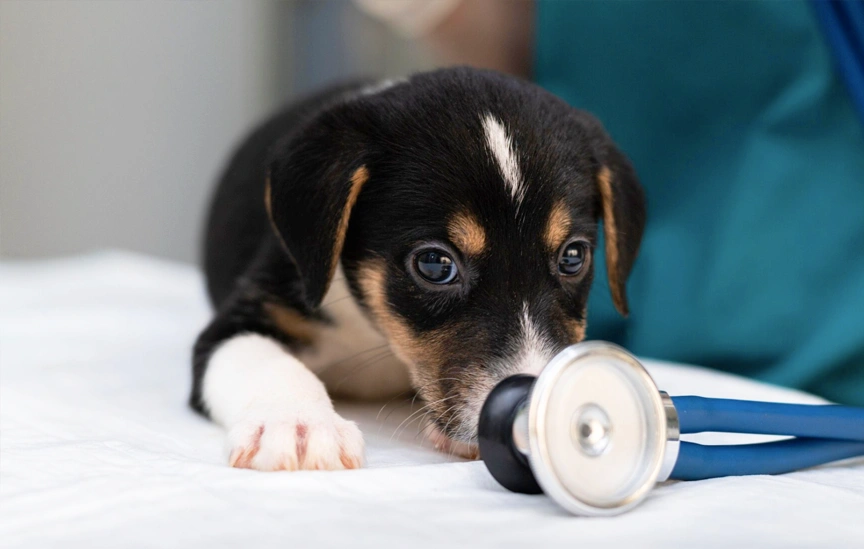 セカンドオピニオンのイメージ写真